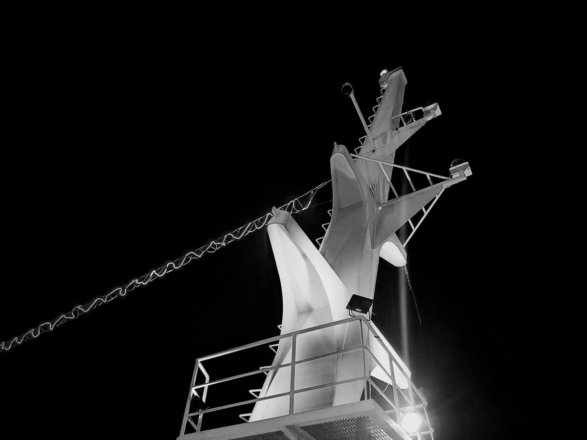 Tami アースマン tweet media