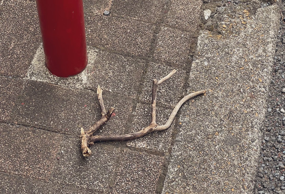 ぽこあポケモンやりすぎて、道に落ちてるコレ吸い込みそうになった。

 #ぽこあポケモン