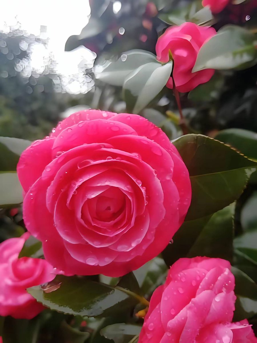 Thiago Gontijo tweet media