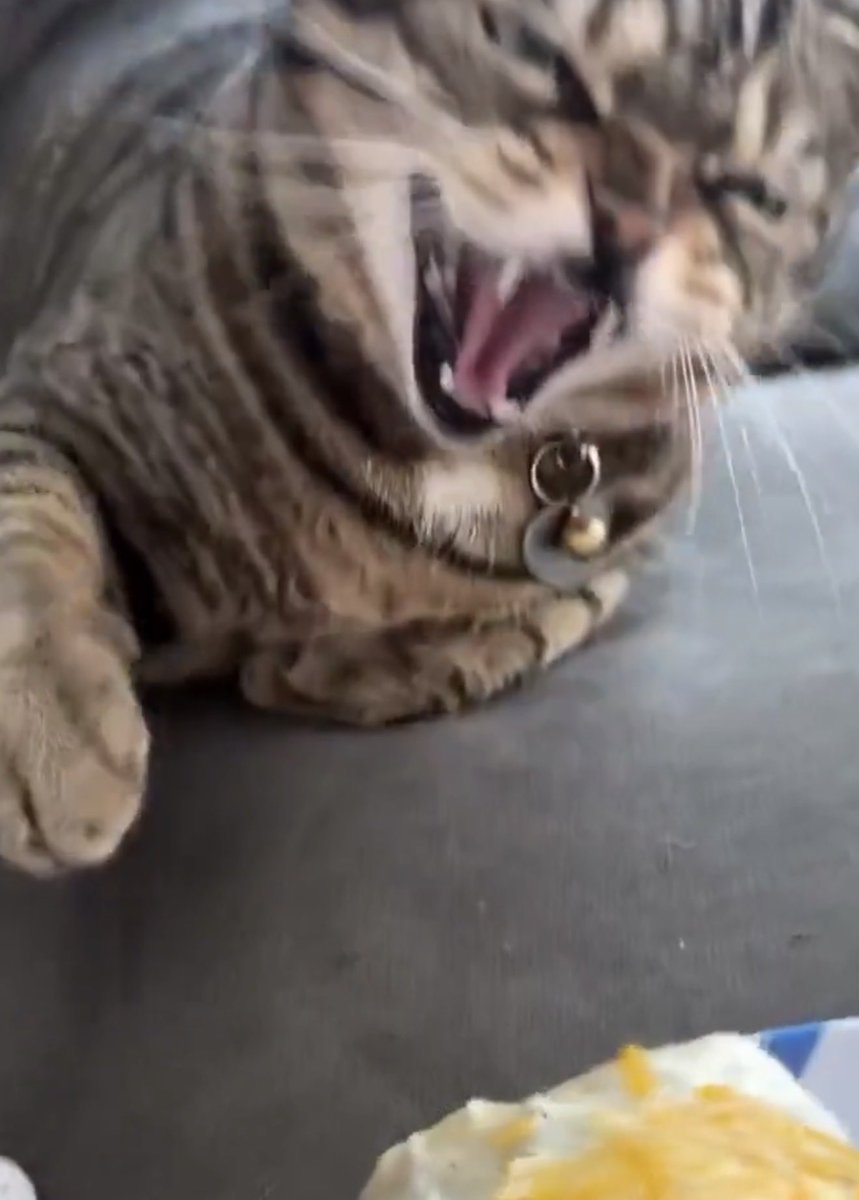 YesAndAgain tweet media