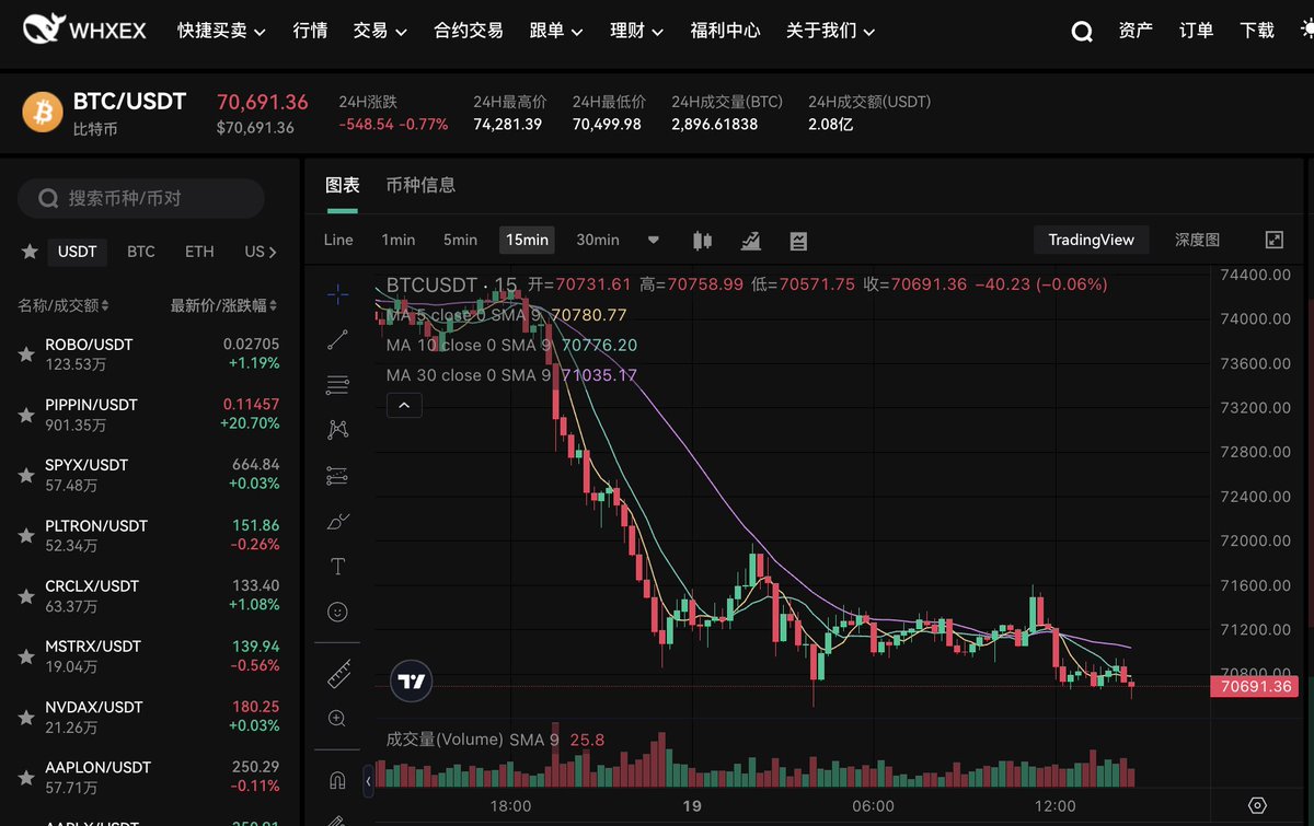 WHXEX 巨鲸 中文 tweet media