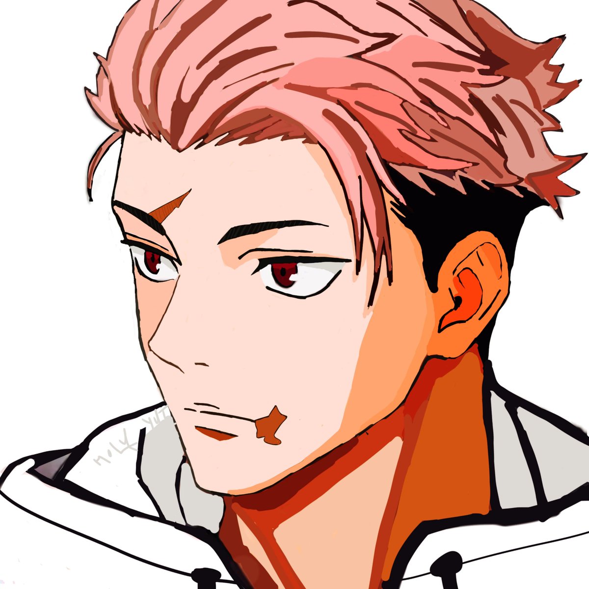 holyyuji tweet media