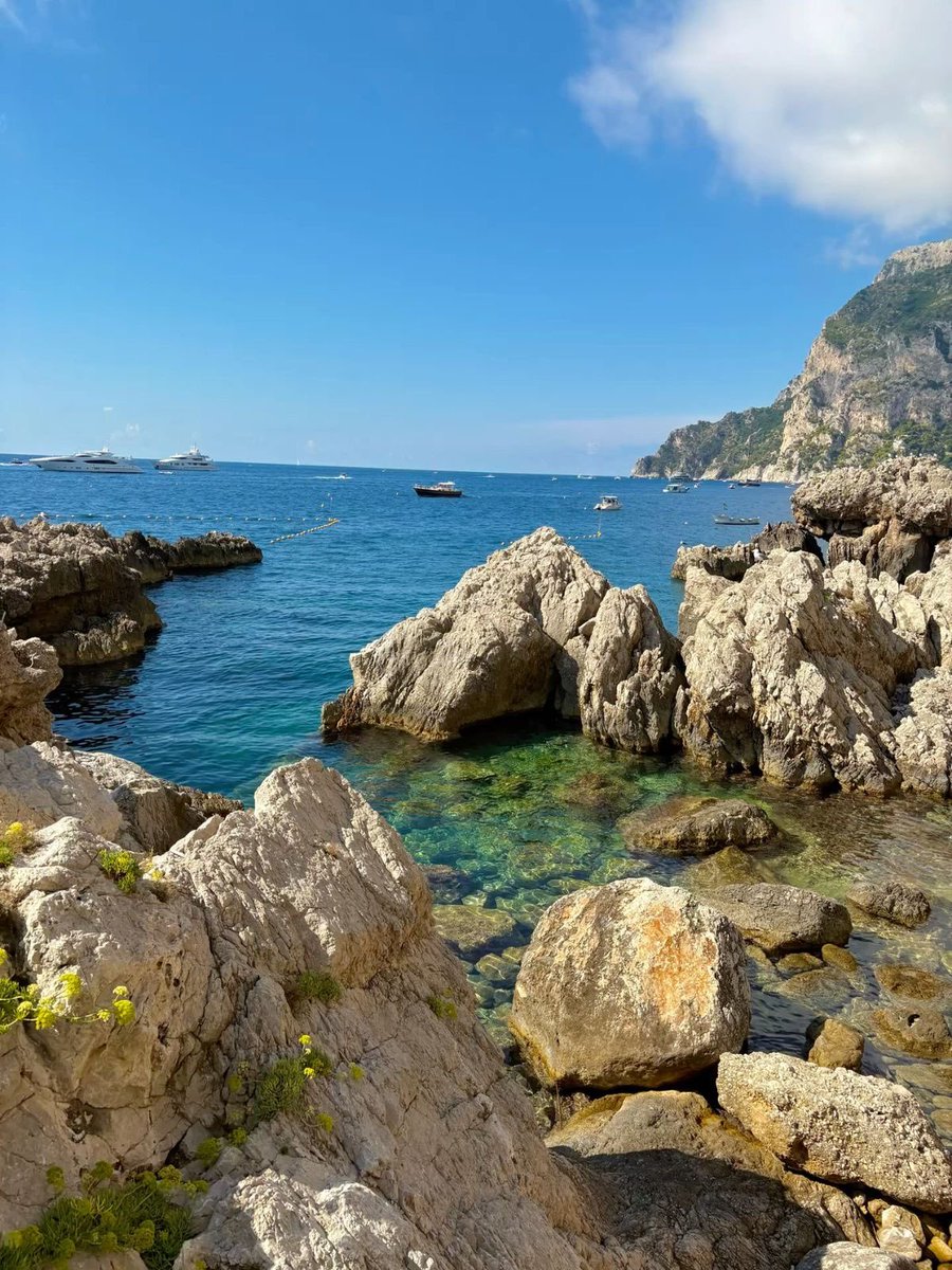 Boss Mode tweet media