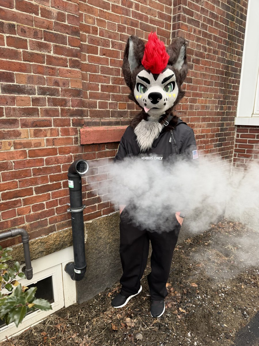 sheep 🔜 LVFC 🎲 tweet media