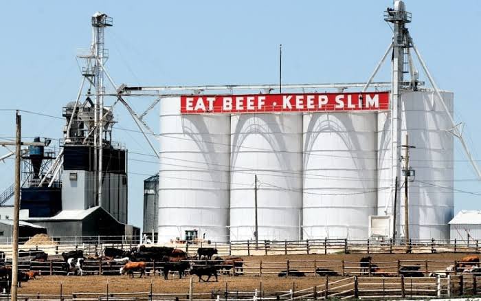 Beef Initiative🇺🇸🇸🇻Beef.com tweet media