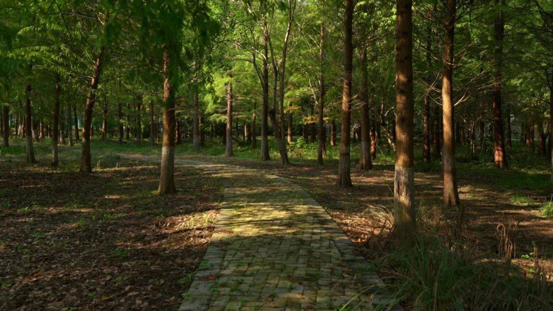 Hilde Zander tweet media