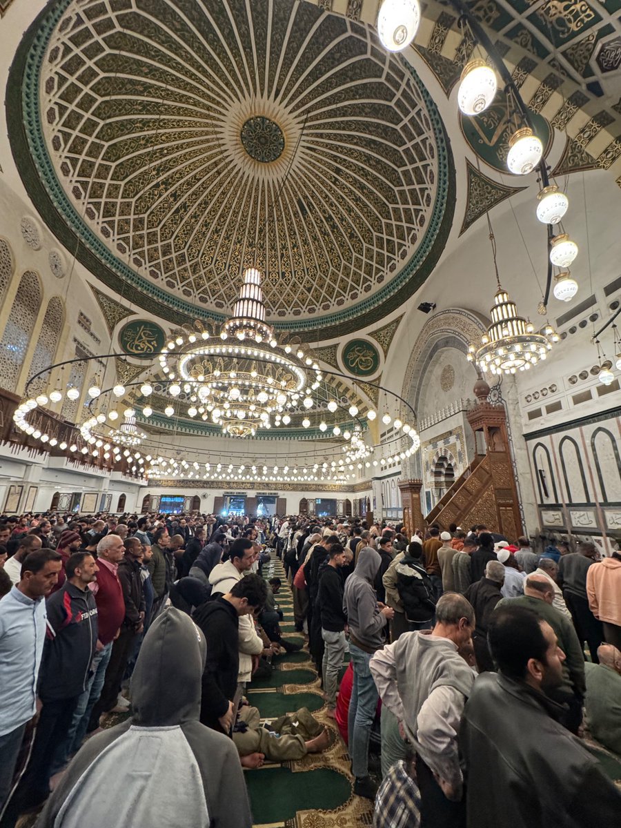 the cool hotdog tweet media