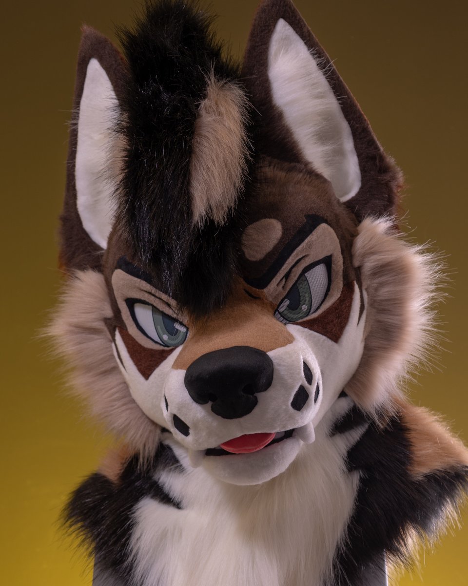 きぐるみ花月/Kigurumi Kagetsu tweet media