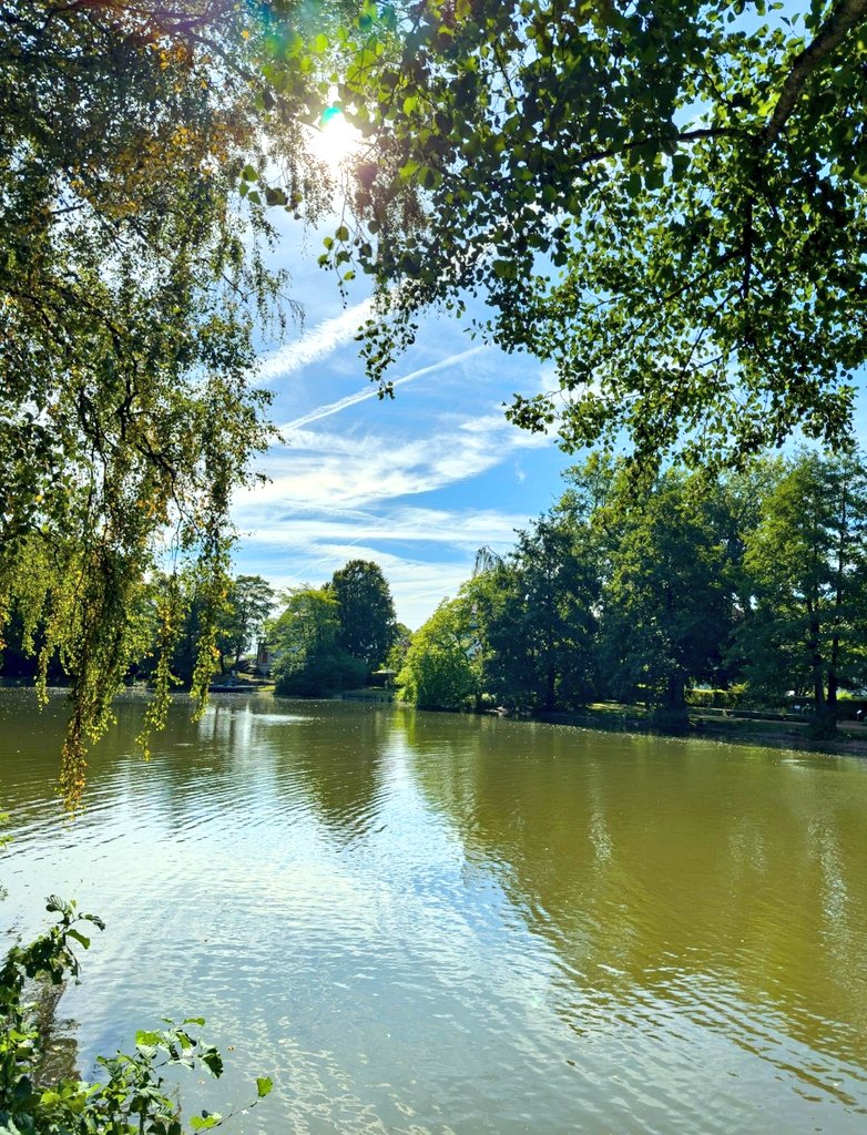 Babita Meena tweet media