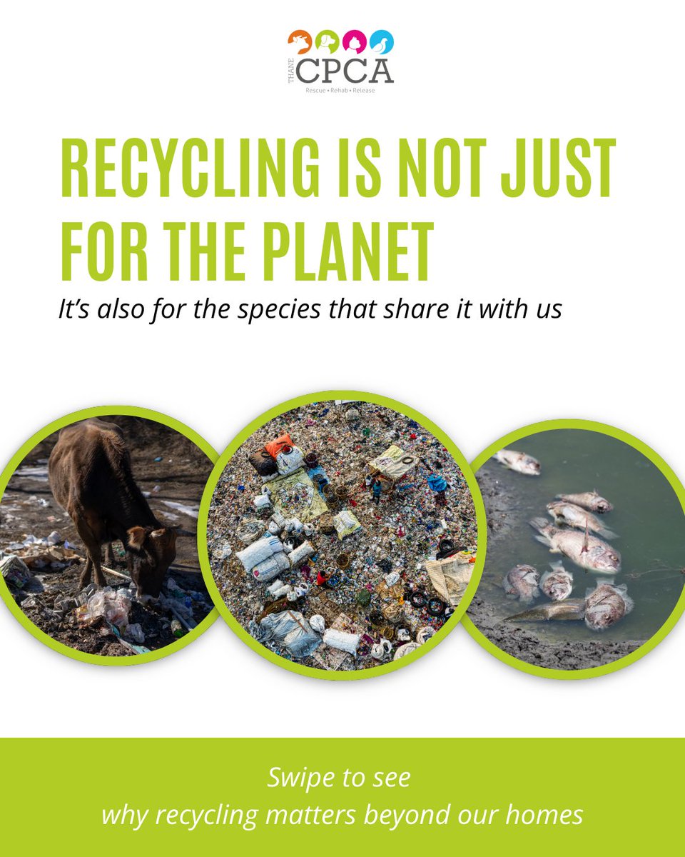 THANECPCA's tweet photo. Yesterday was Global Recycling Day 2026. The theme of the Day this year is " Don't Think Waste - Think Opportunity ". This year will be focussing on treating waste as the 7th Resource, emphasizing turning recycled materials into economic growth, innovation, and jobs. https://t.co/TEbIlFK6iE