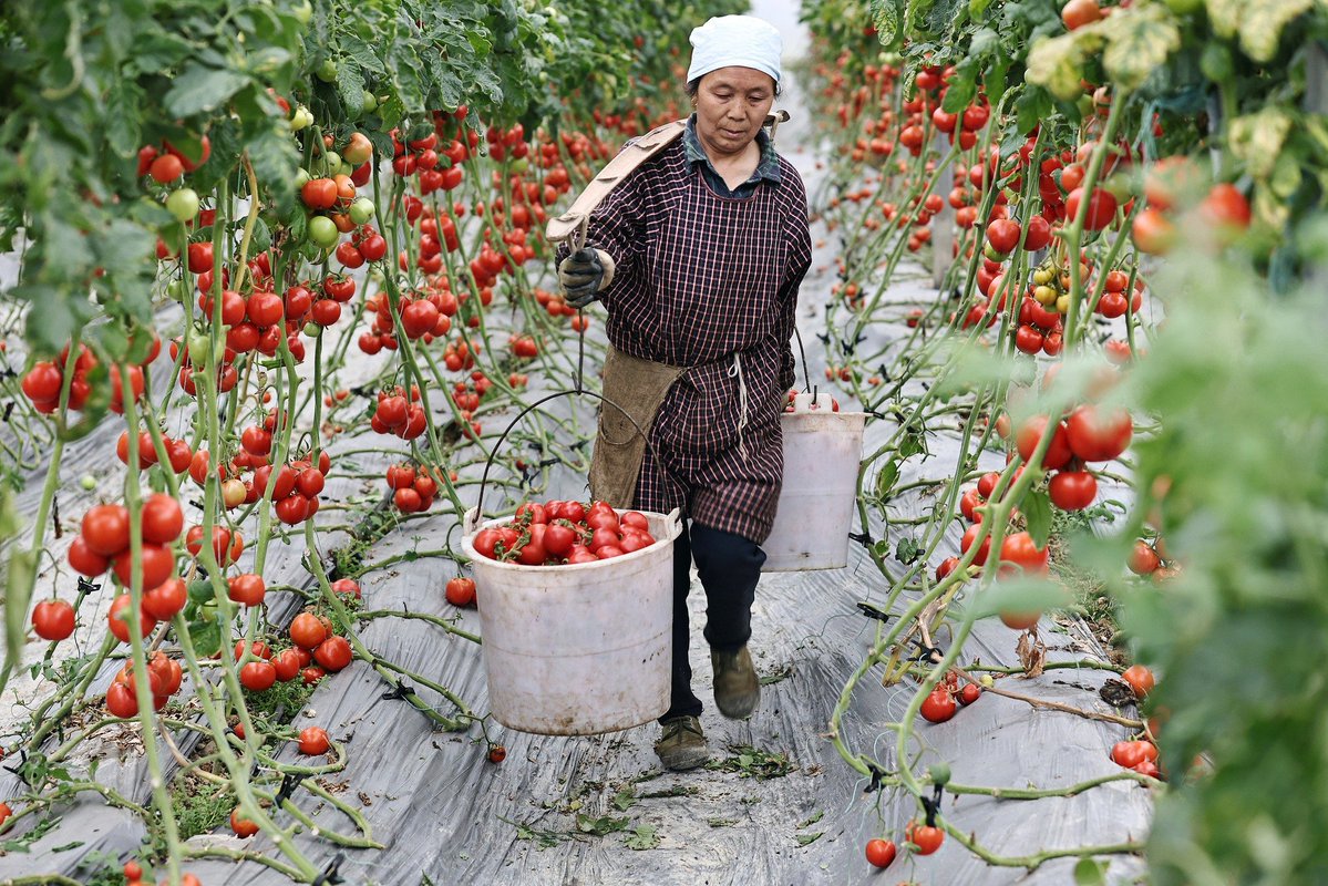 People's Daily, China tweet media