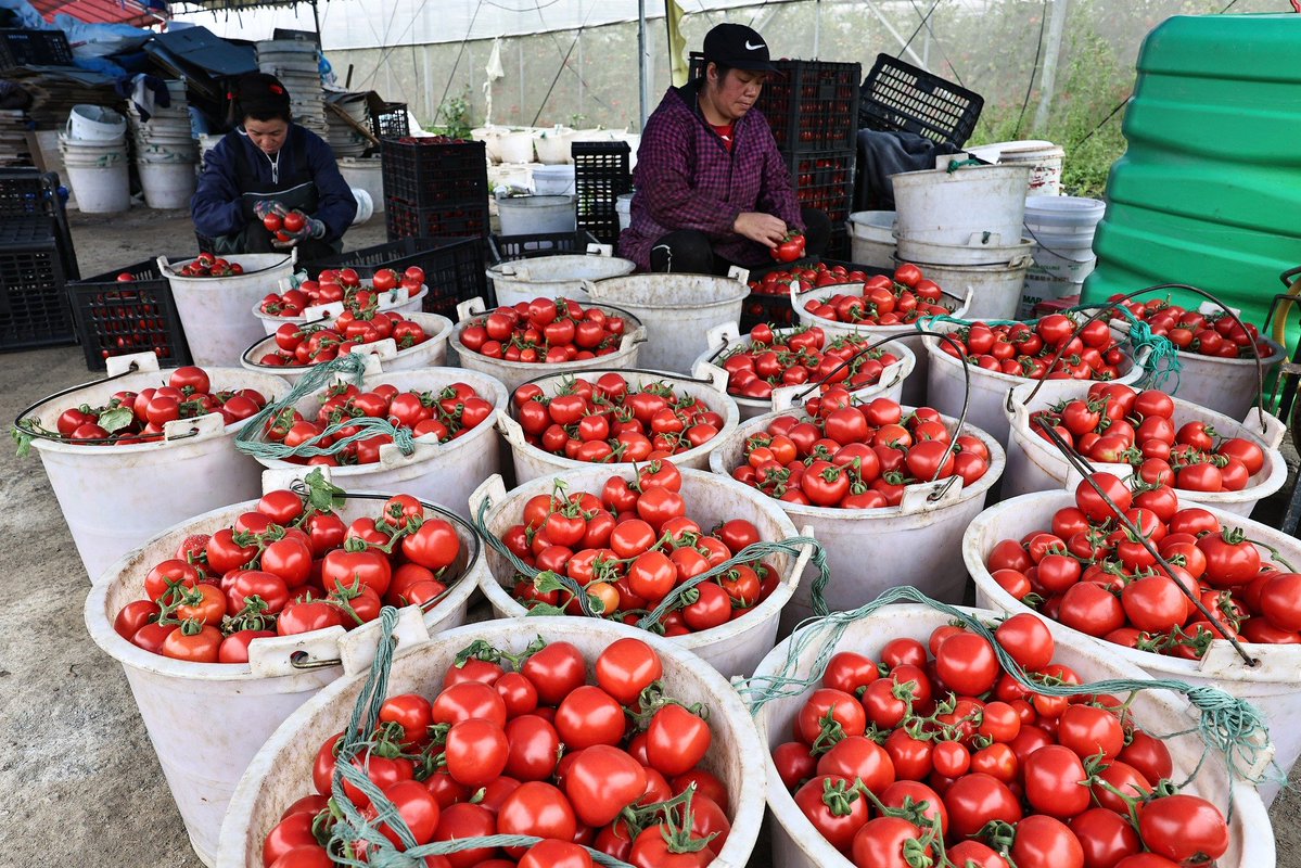 People's Daily, China tweet media