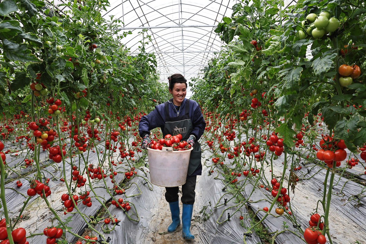 People's Daily, China tweet media