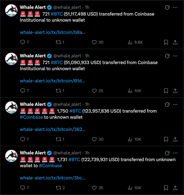 Crypto Traders Arena tweet media