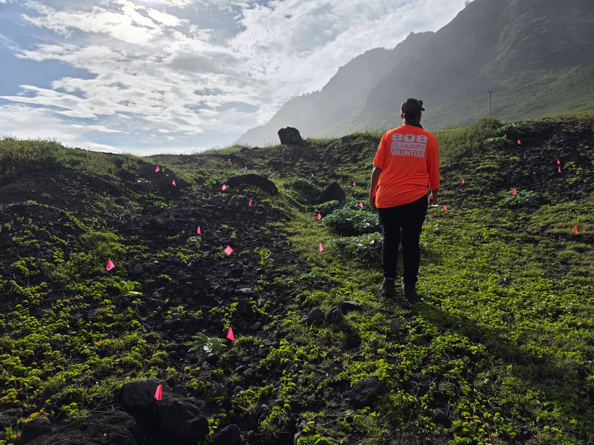 808cleanups tweet media