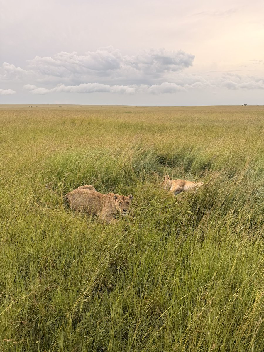 Gnyanad Bhatt tweet media