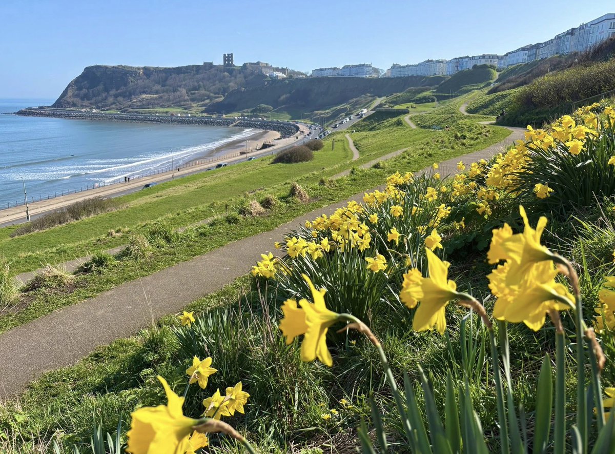 Sicilianomatt tweet media