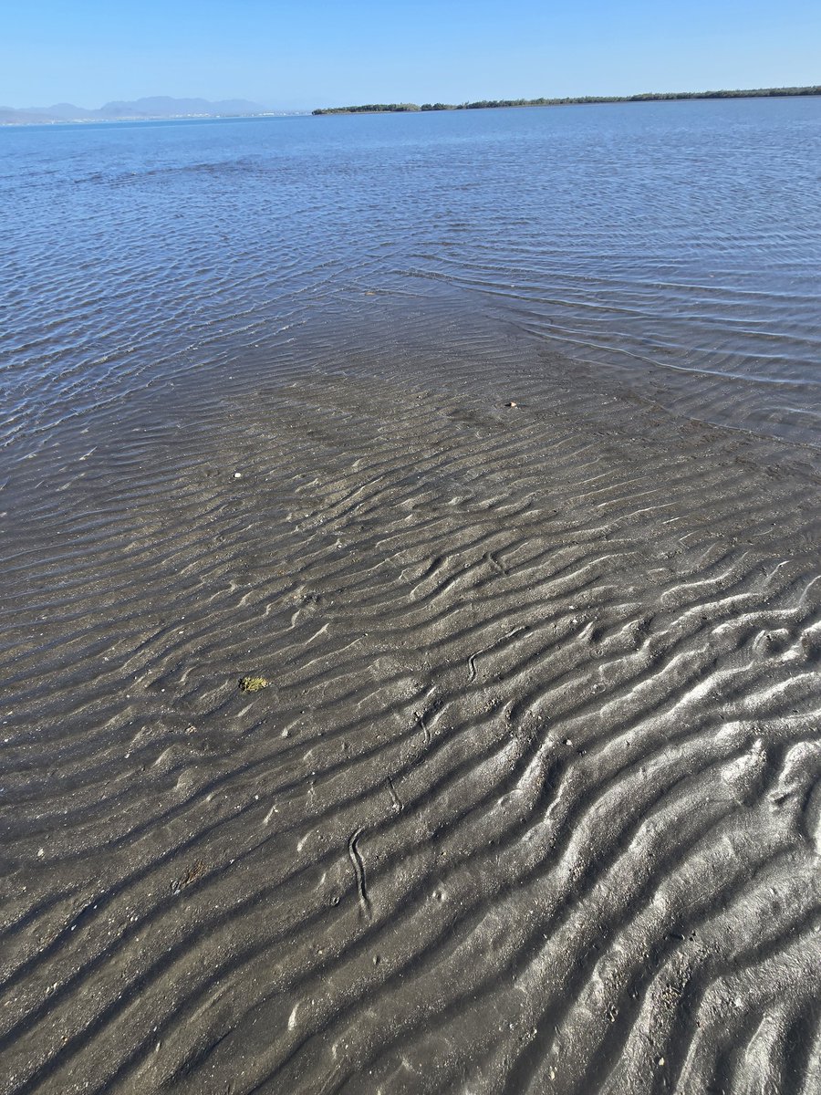 darkwaterme's tweet photo. Stand of tide. https://t.co/r1Ev9hHpXd