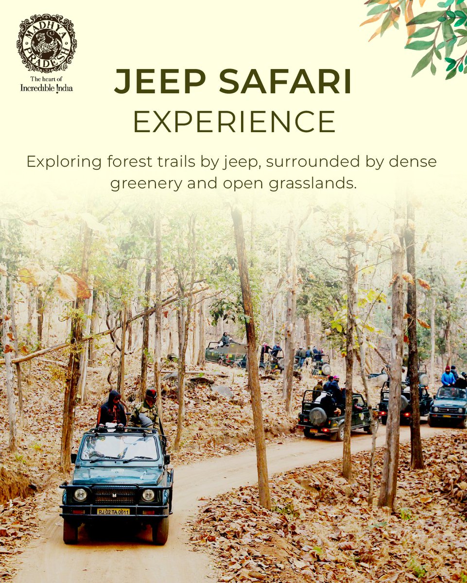 MP International Tourism tweet media