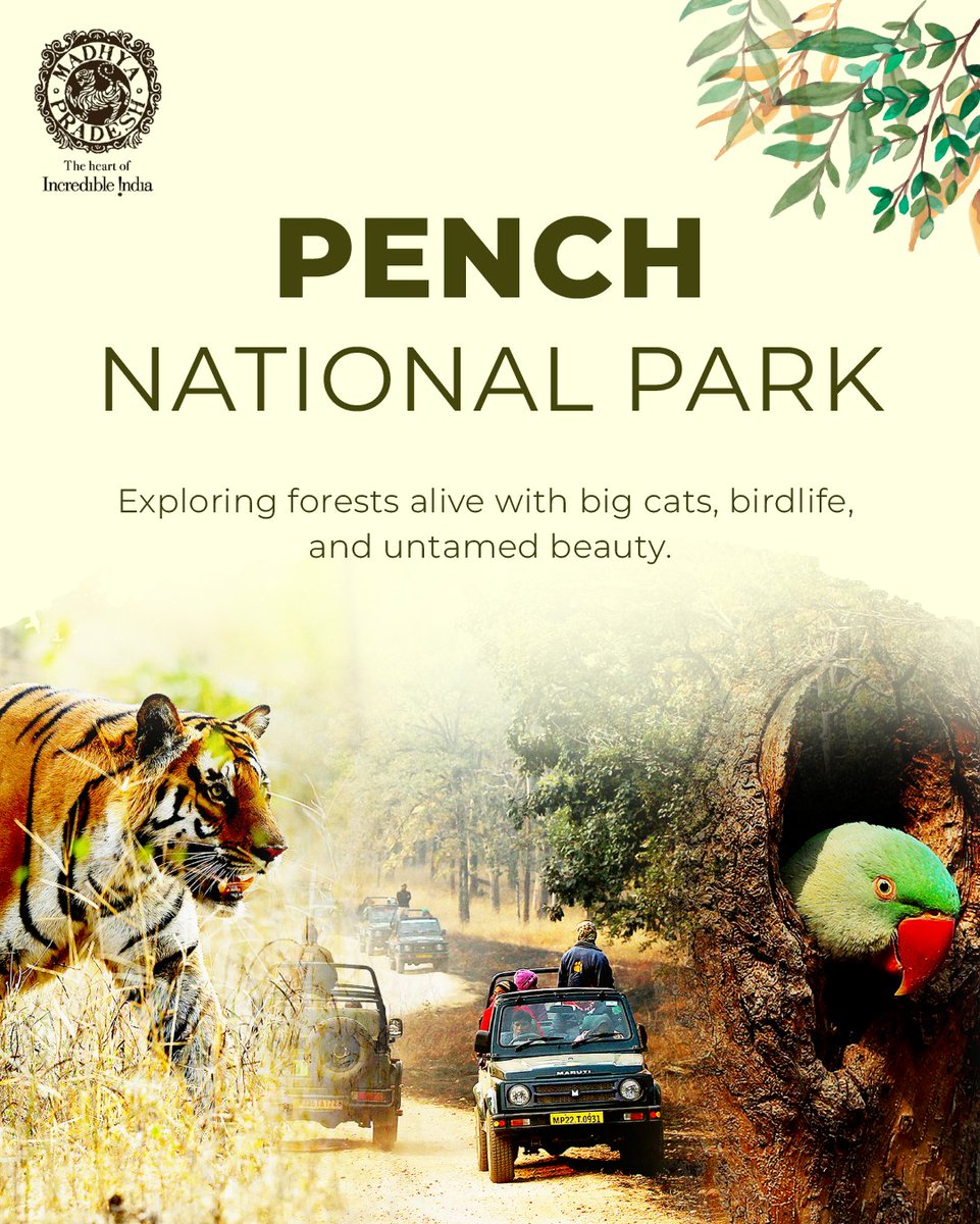 MP International Tourism tweet media