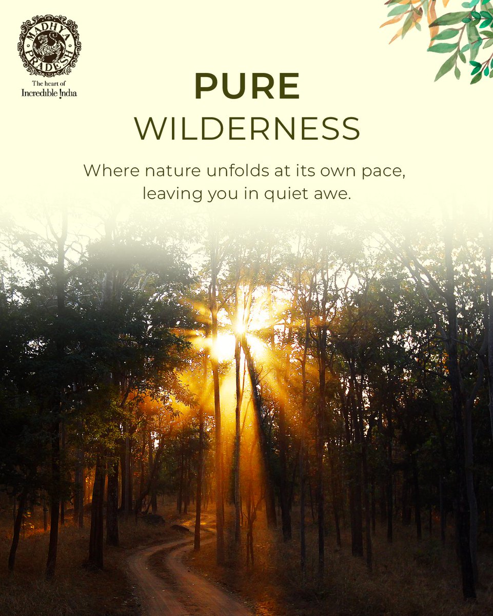 MP International Tourism tweet media