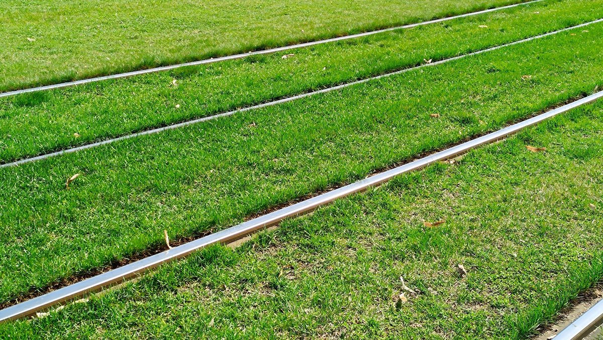 Orădeanul 🇷🇴🌻🇪🇺🍳 tweet media