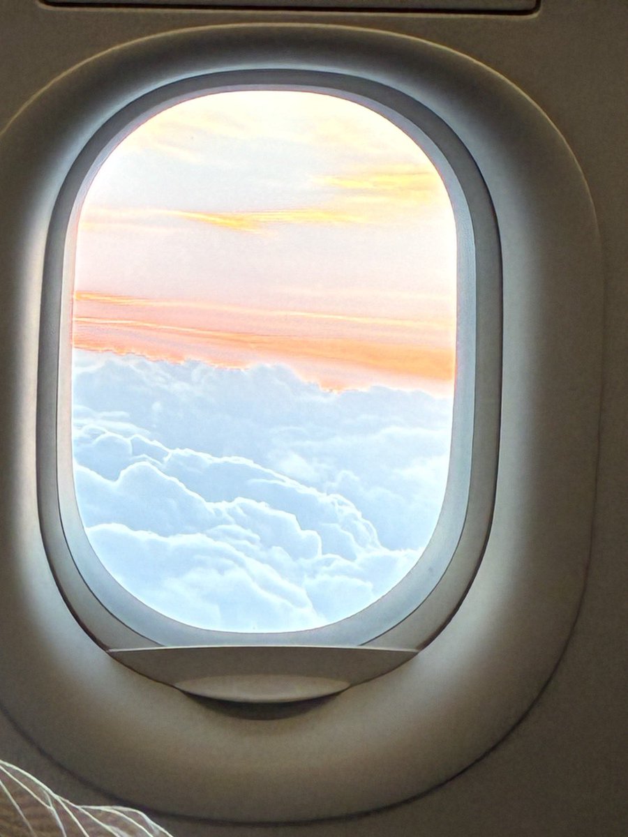 オイラー！ tweet media