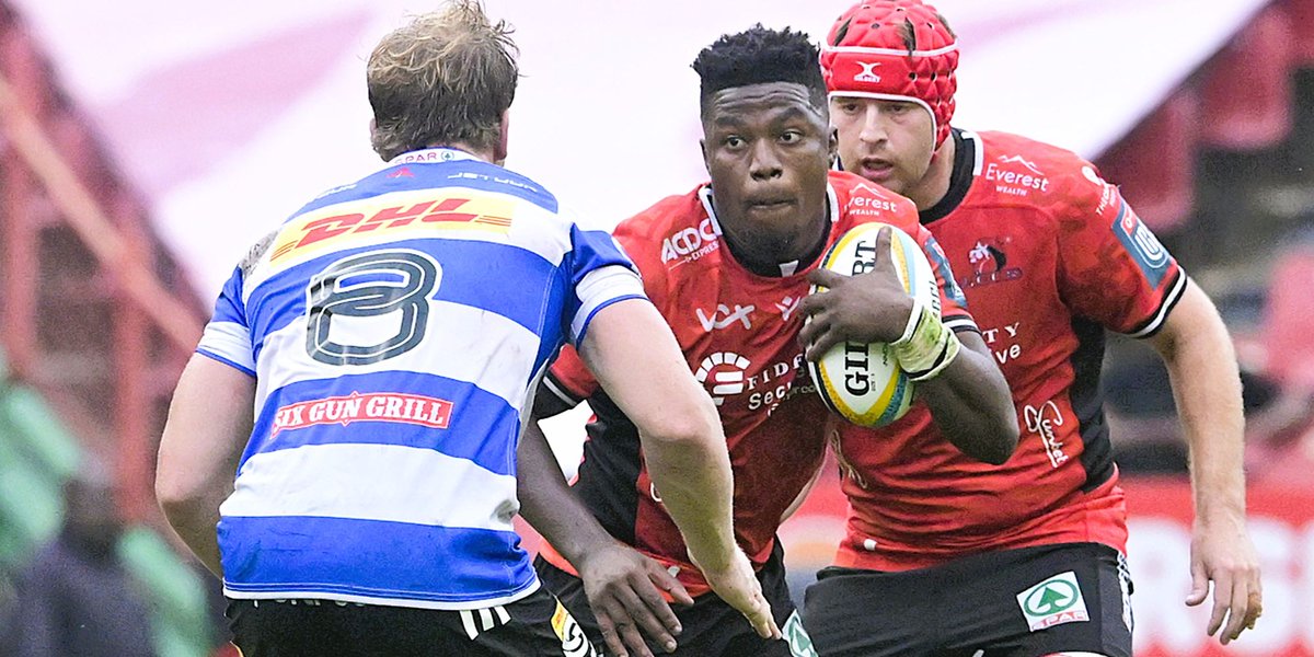 Springboks tweet media