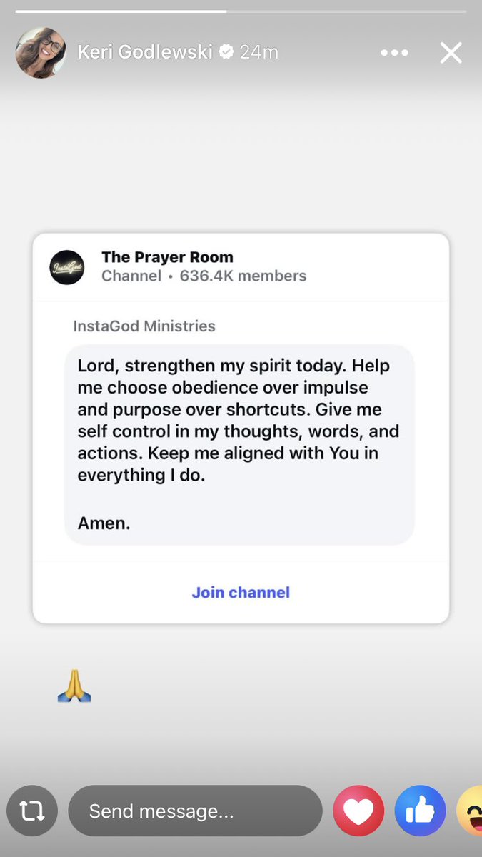 northstargirl tweet media