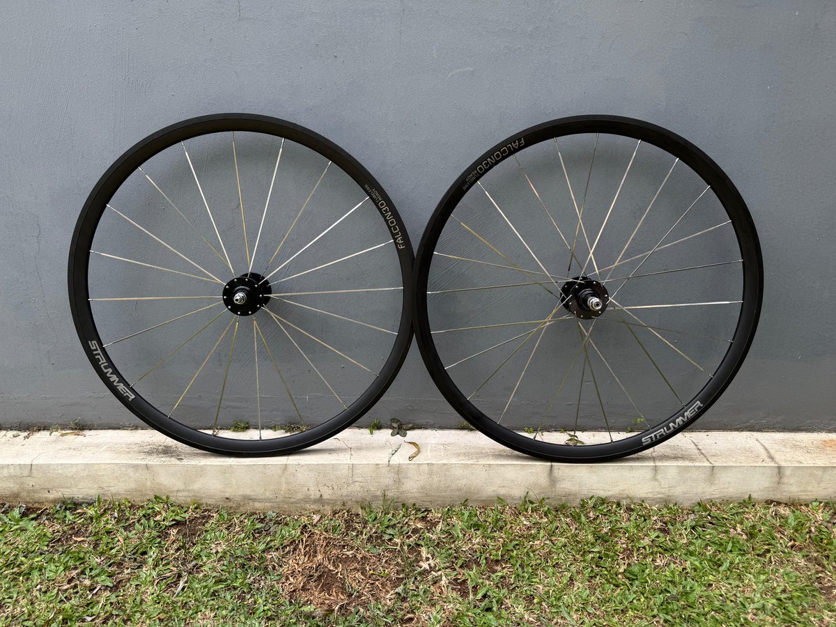 ⚡️⚡️⚡️ tweet media