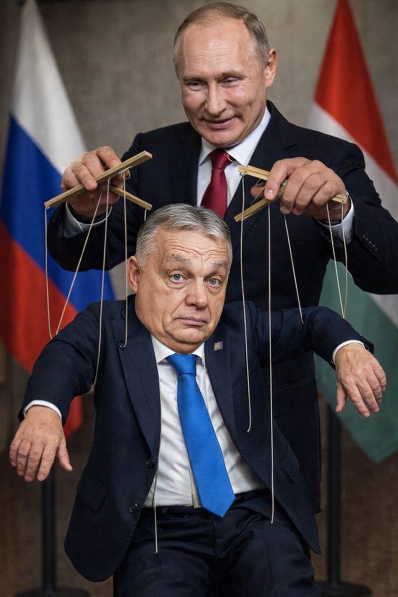 The Hague 🇺🇦 🇳🇱 Слава Україні tweet media