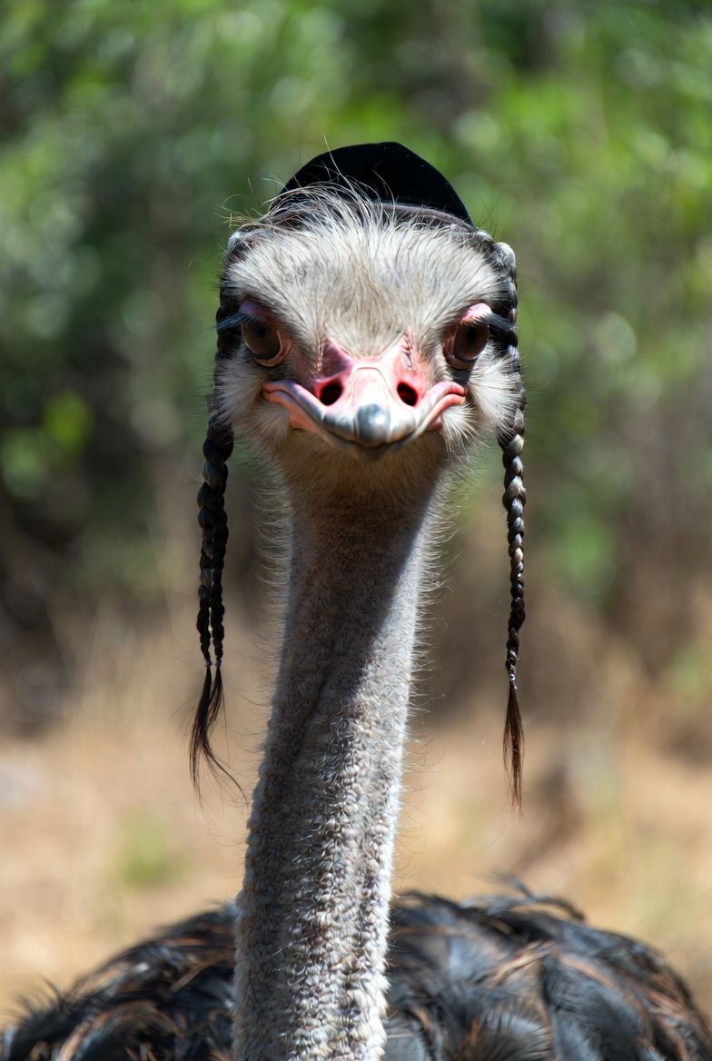 Beautiful Brilliant Broken Bastard tweet media