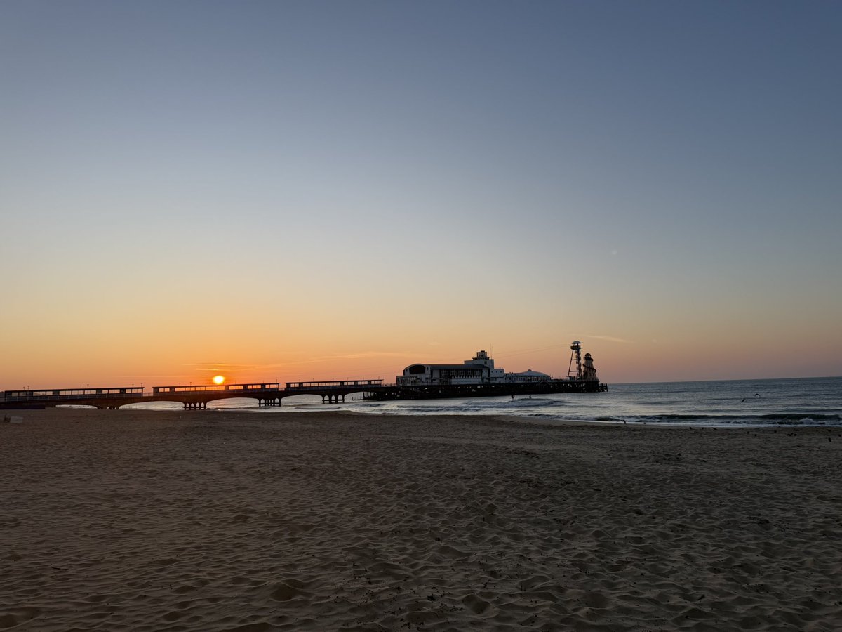 Bruce Robertson tweet media