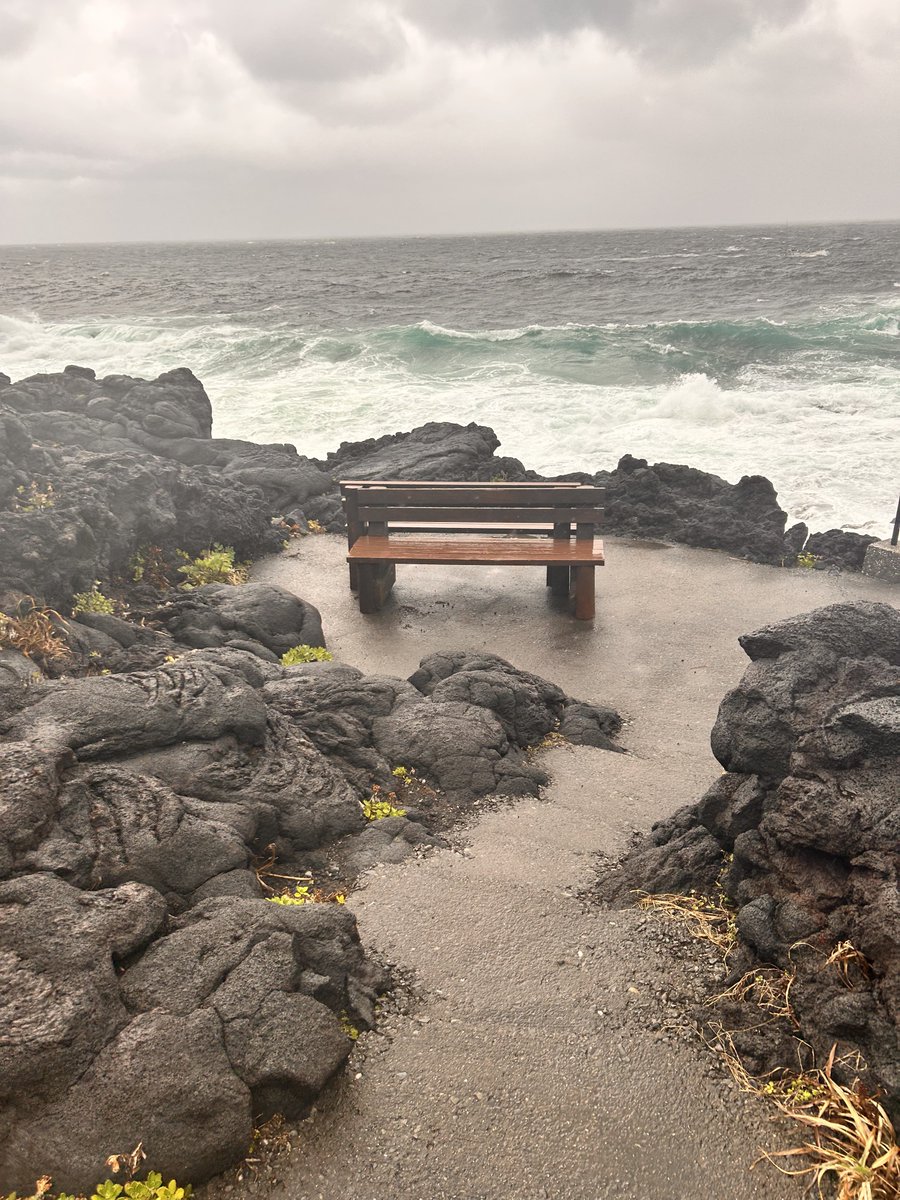 オイラー！ tweet media