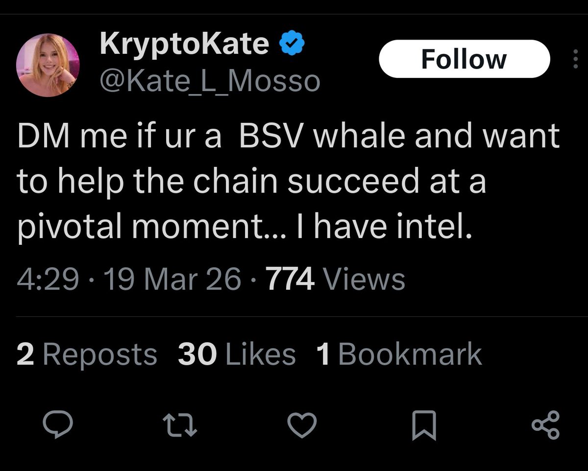 BSV Social Impact tweet media