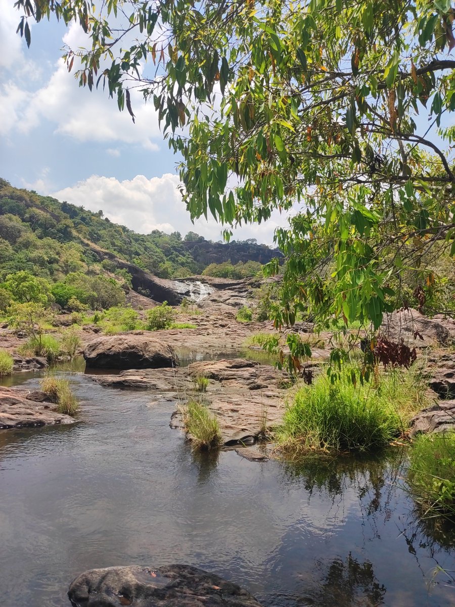 வாலுபாய் tweet media