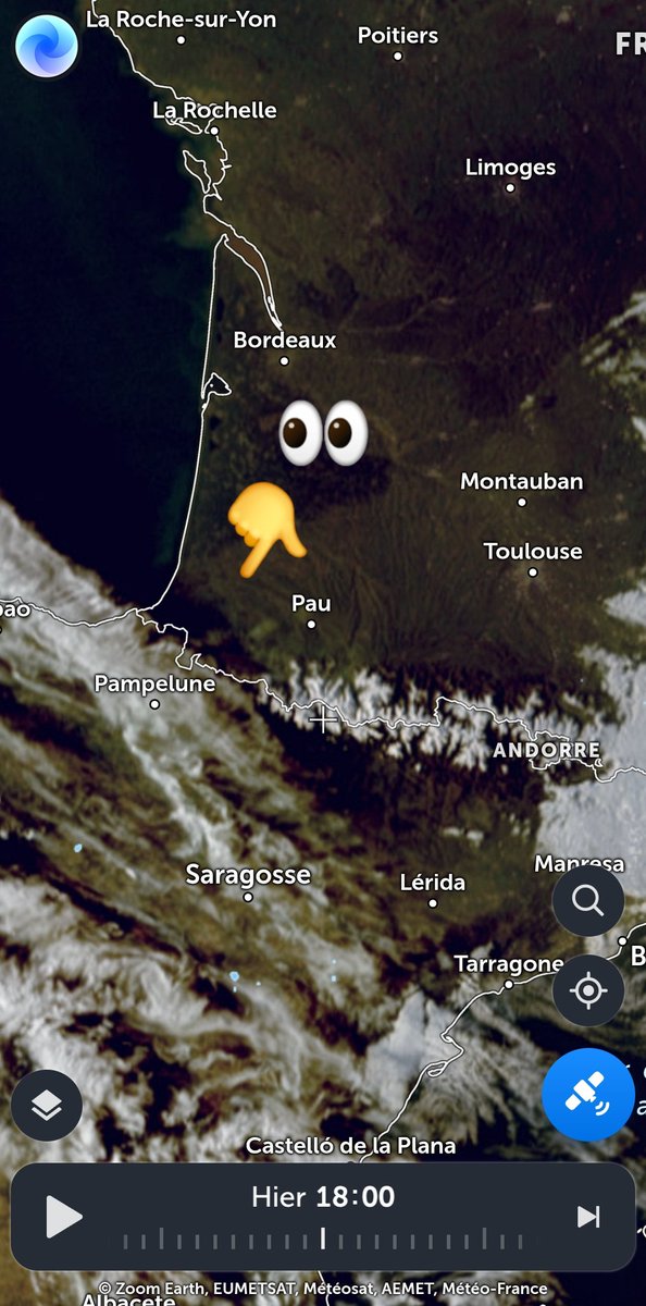 CielClair tweet media