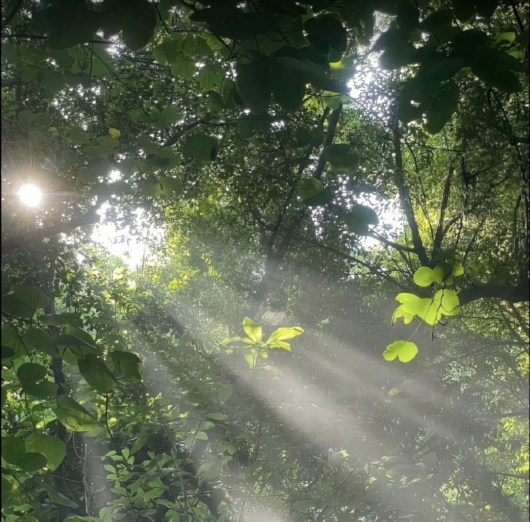 Максим Мещеряков tweet media