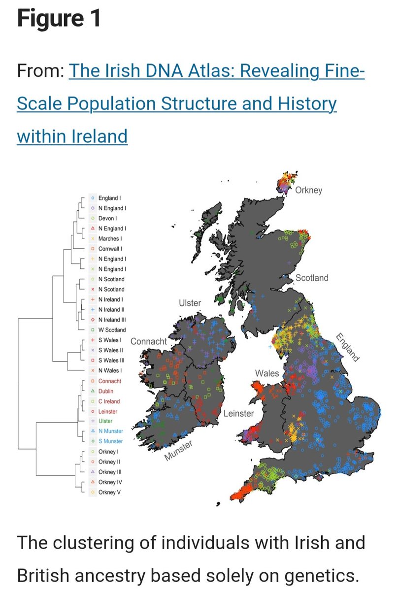 Redacted 🌲 tweet media