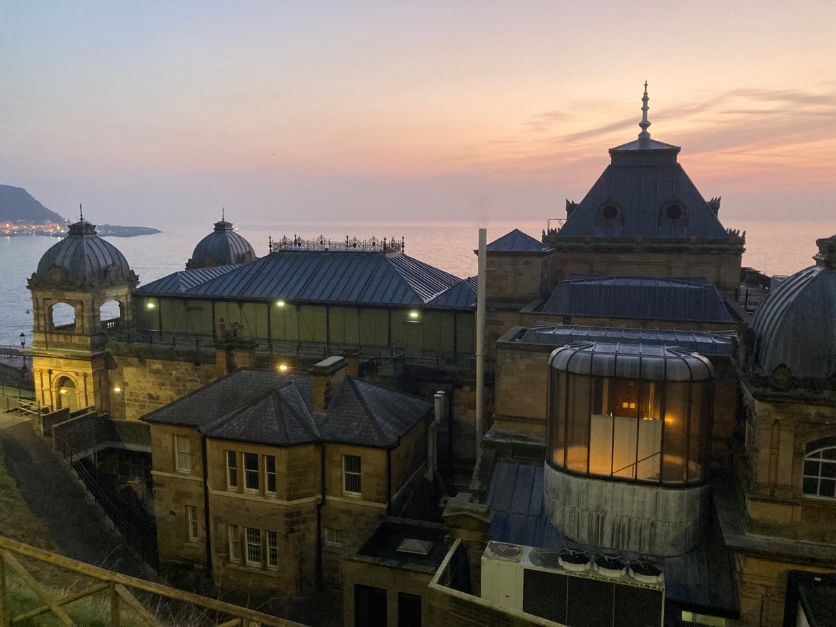 Faith Young Writer tweet media