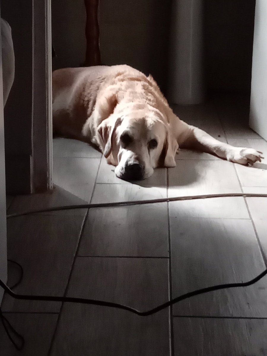 Zamalek2 🍺🍀💋 tweet media