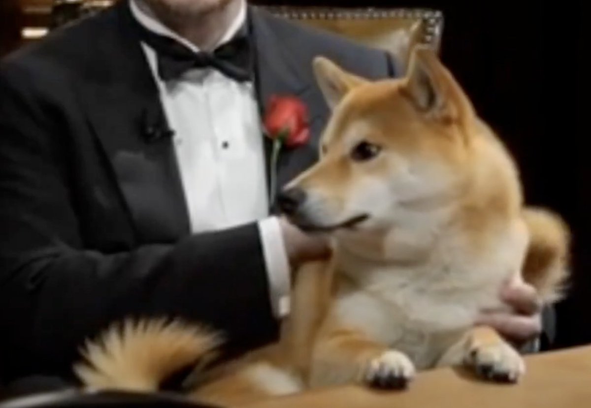 Andy Bloch tweet media