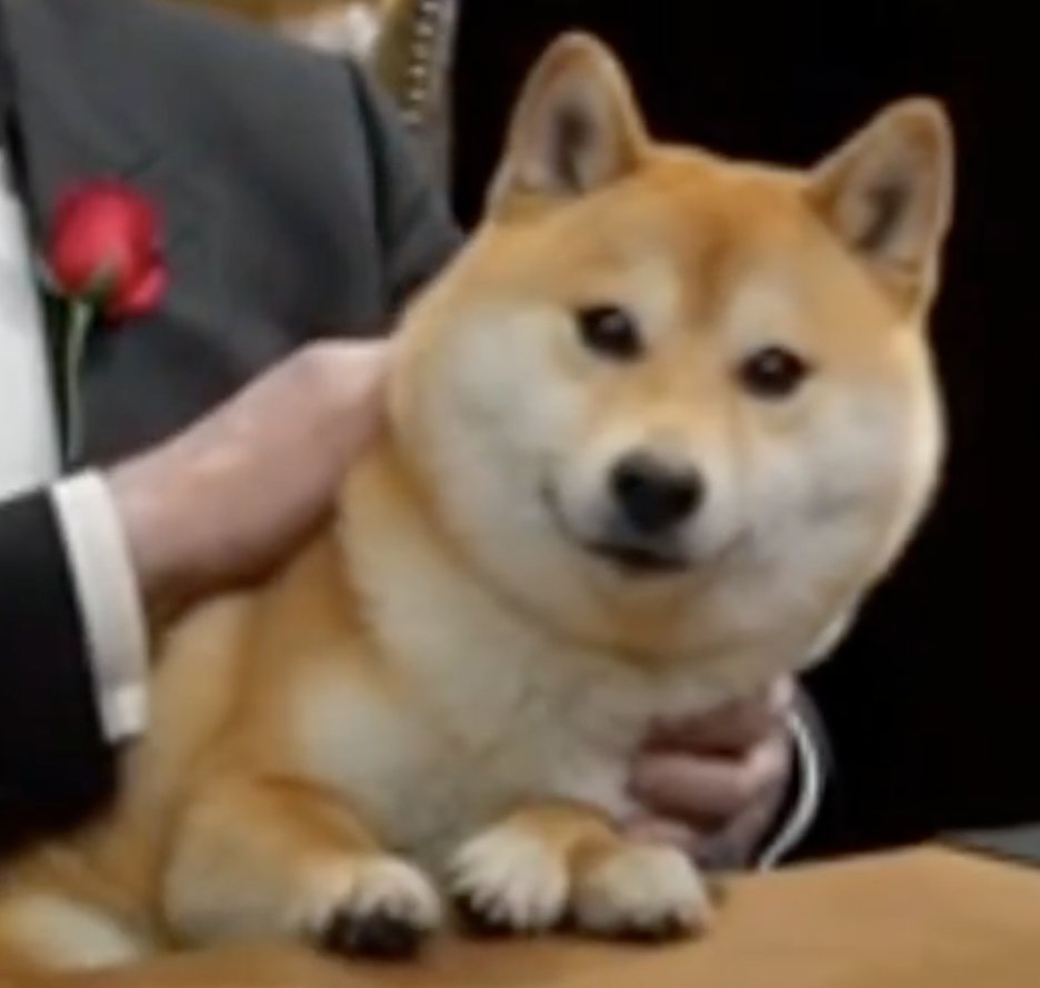 Andy Bloch tweet media