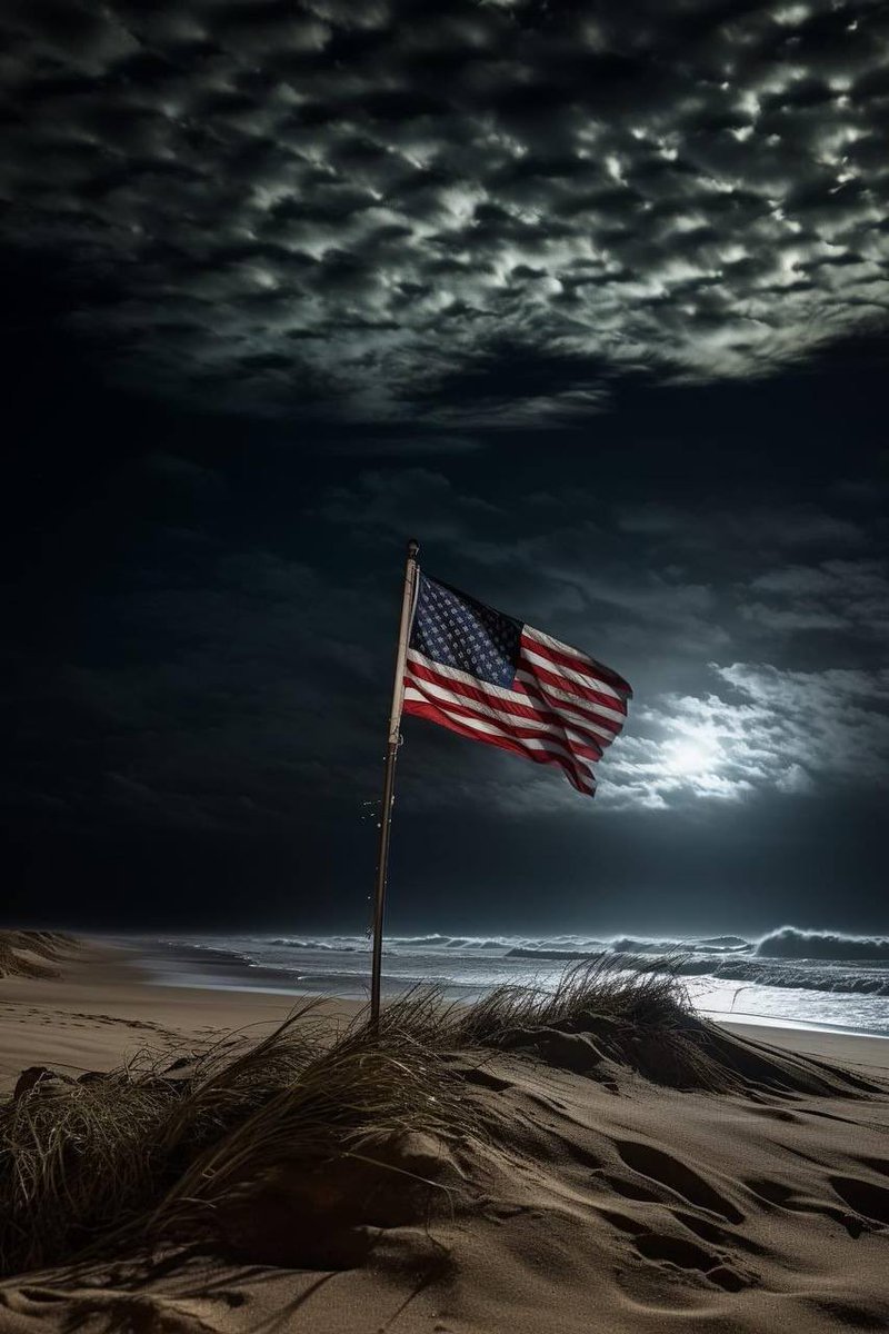 Boone Cutler 🦬🇺🇸 🦅 tweet media