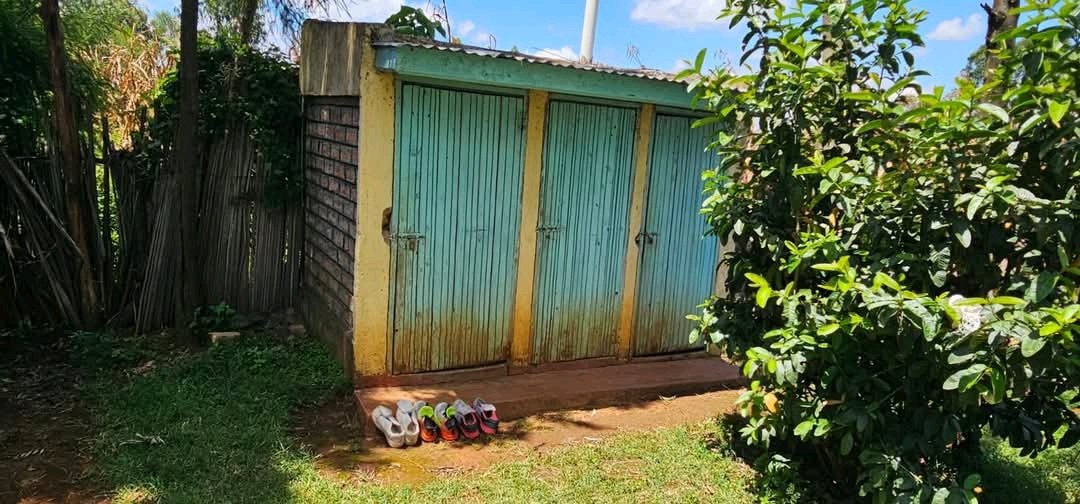 Ignatius tweet media