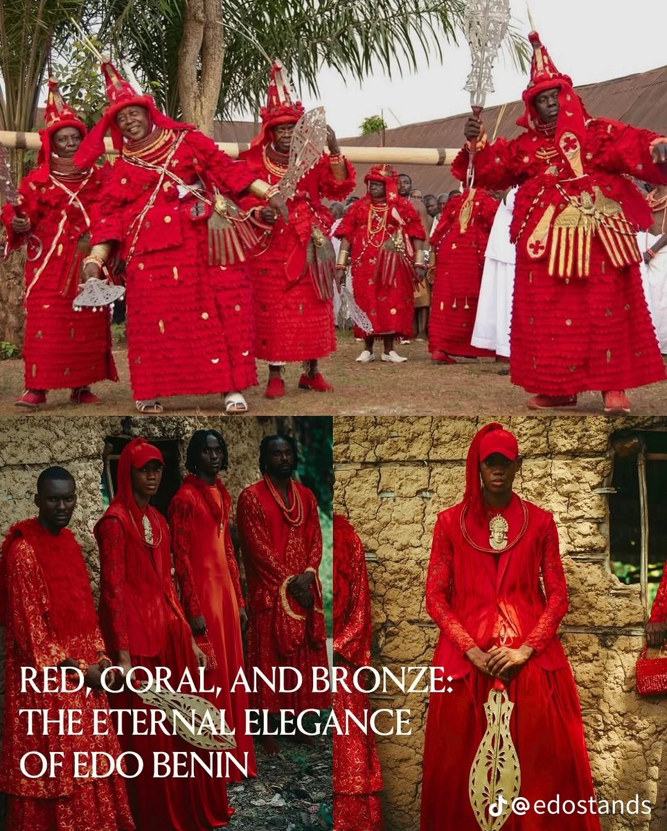 Nosakhare Stefan Egbọn tweet media