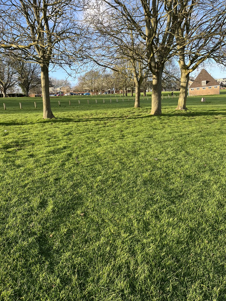 rob sellers🇾🇪 tweet media