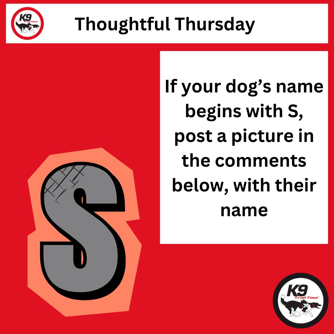 K9 Trail Time tweet media