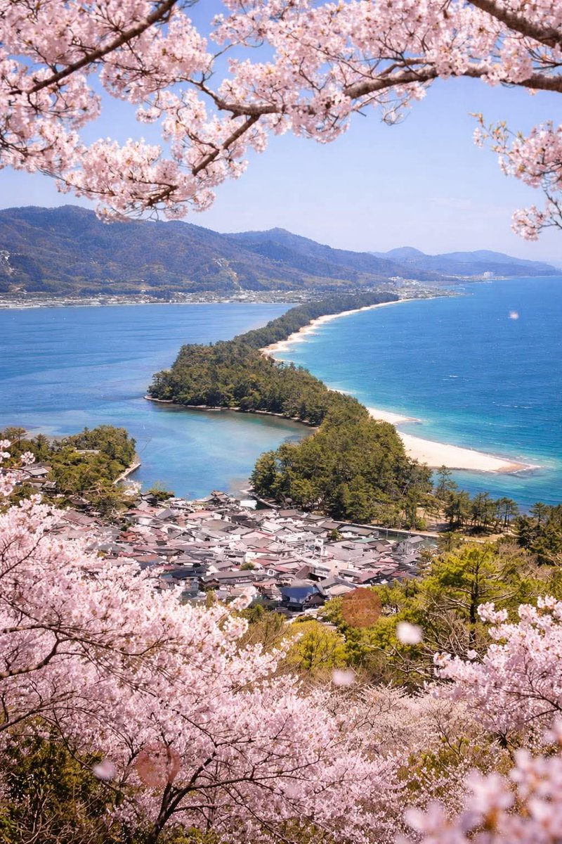 N A T U R E tweet media