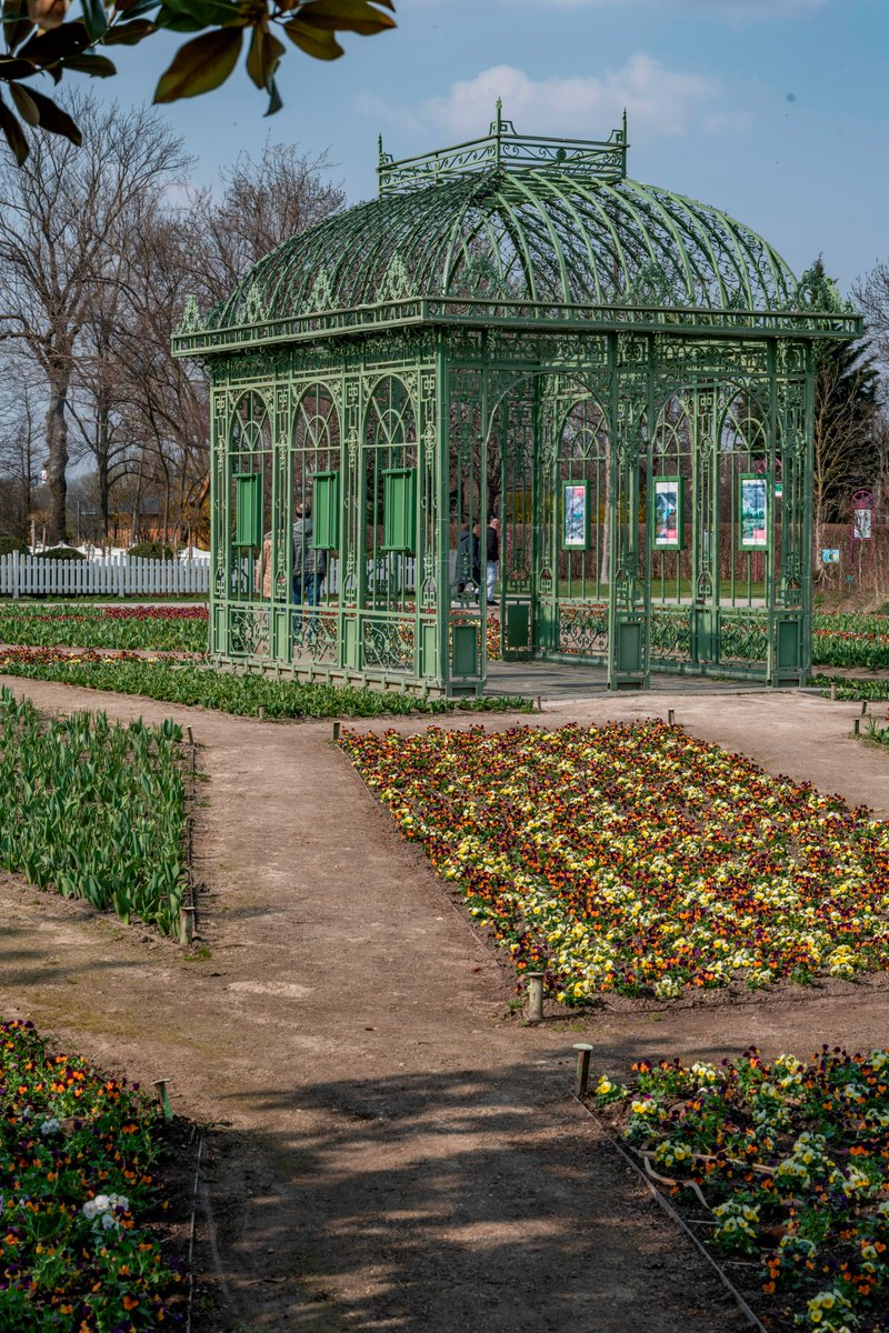 wienerstefan's tweet photo. #streetphotograph #Viennacam #Wien #streetphotographer #Nikon #D850 #BlumengärtenHirschstetten #1220Wien Da keine Shooting mit Menschen 😟 Darum Natur aus Menschenhand. https://t.co/pvPQ5VmwJ3